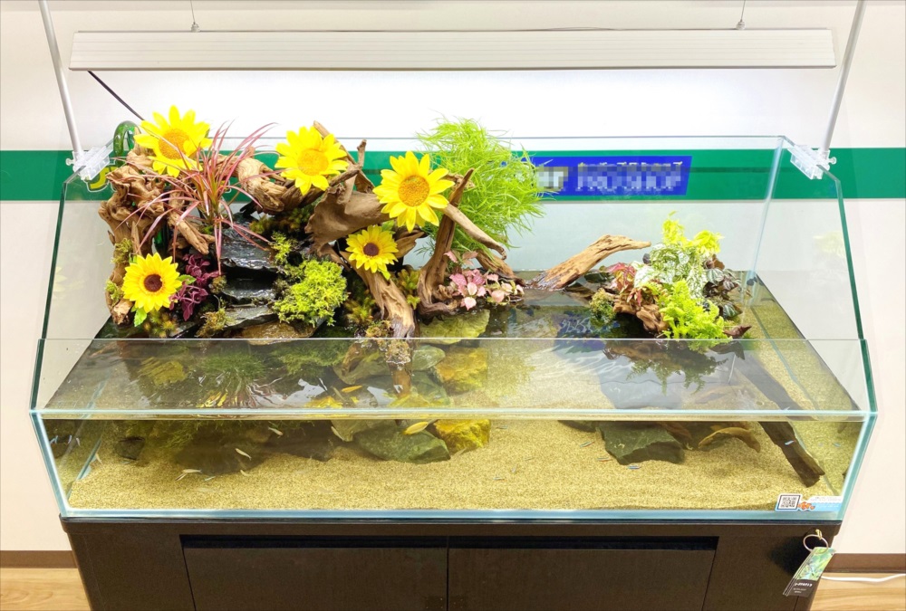 ひまわりの造花と流木で飾られたアクアテラリウム水槽